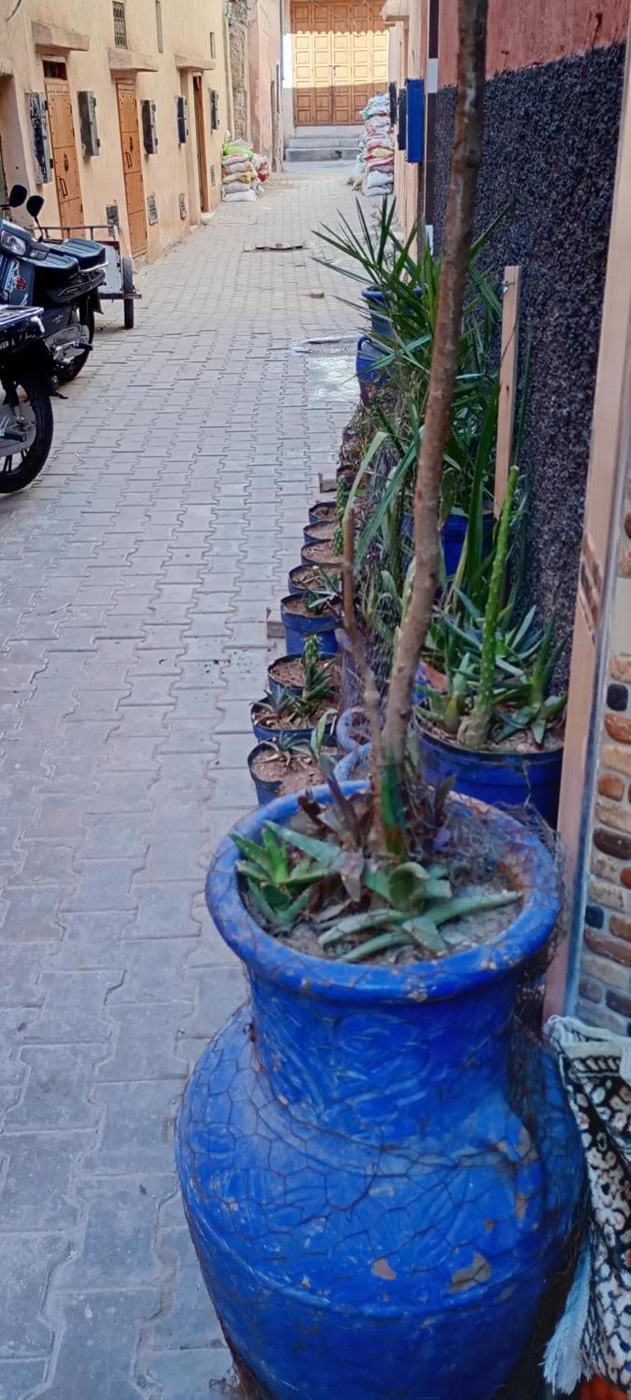 דירות מרקש Dar Aziz מראה חיצוני תמונה